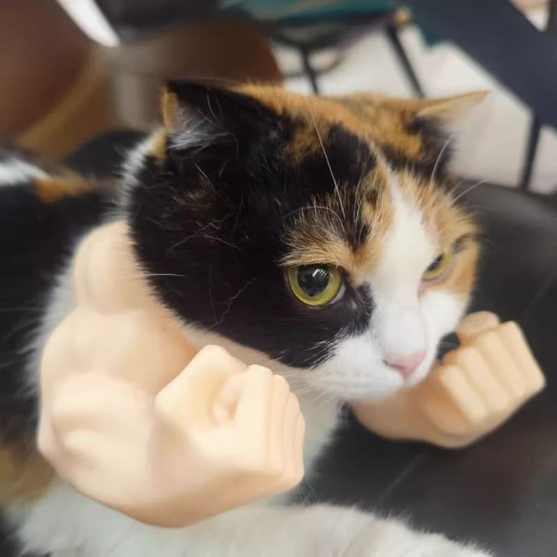 Super Muscle Arm Cat Toy with Moving Muscles - Interactive Posable Arm with Flexing Biceps & Paw Attachment, Durable Plastic Construction for Playtime, Pranks, Photo Shoots - Funny Pet Prop for Cats, All Breeds & Sizes, Halloween Costume Accessory, Superh Tudoushop